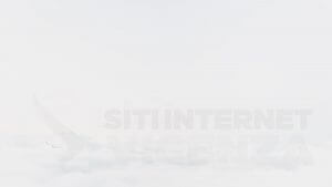 siti web vicenza internet design