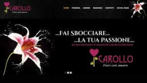 siti internet vicenza Carollo Fiori