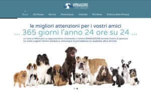 Ambulatorio Veterinario Vicenza Mazzucato Meneguzzo