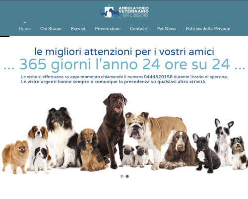 Ambulatorio Veterinario Vicenza Mazzucato Meneguzzo