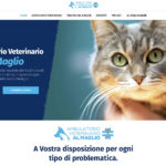 Sito Internet Ambulatorio al Maglio Veterinario