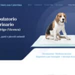 Sito Internet Ambulatorio Veterinario Azzolin