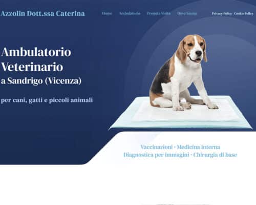 Sito Internet Ambulatorio Veterinario Azzolin