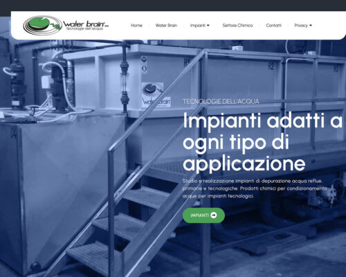 Sito Internet Water Brain