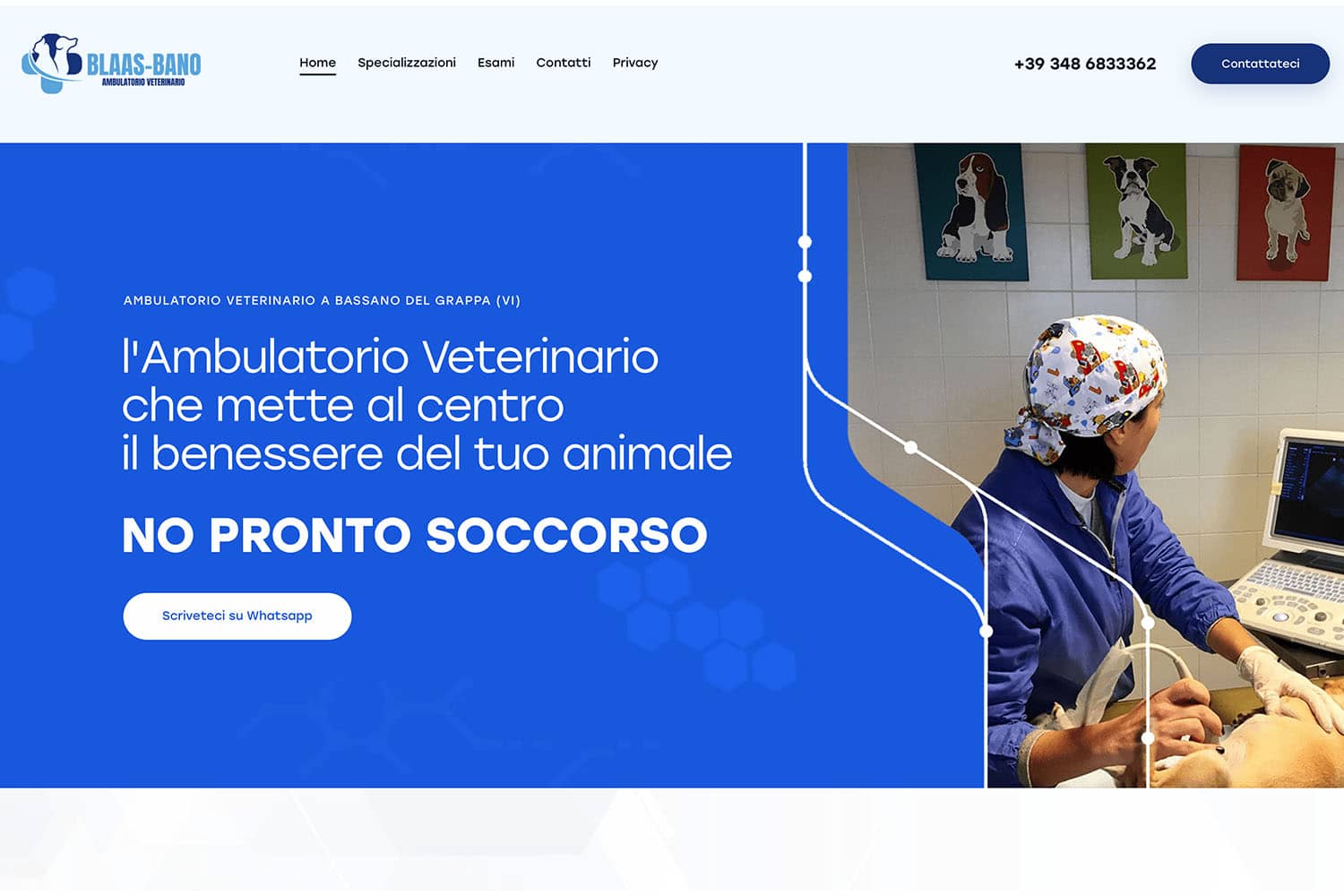 Ambulatorio Veterinario Blass