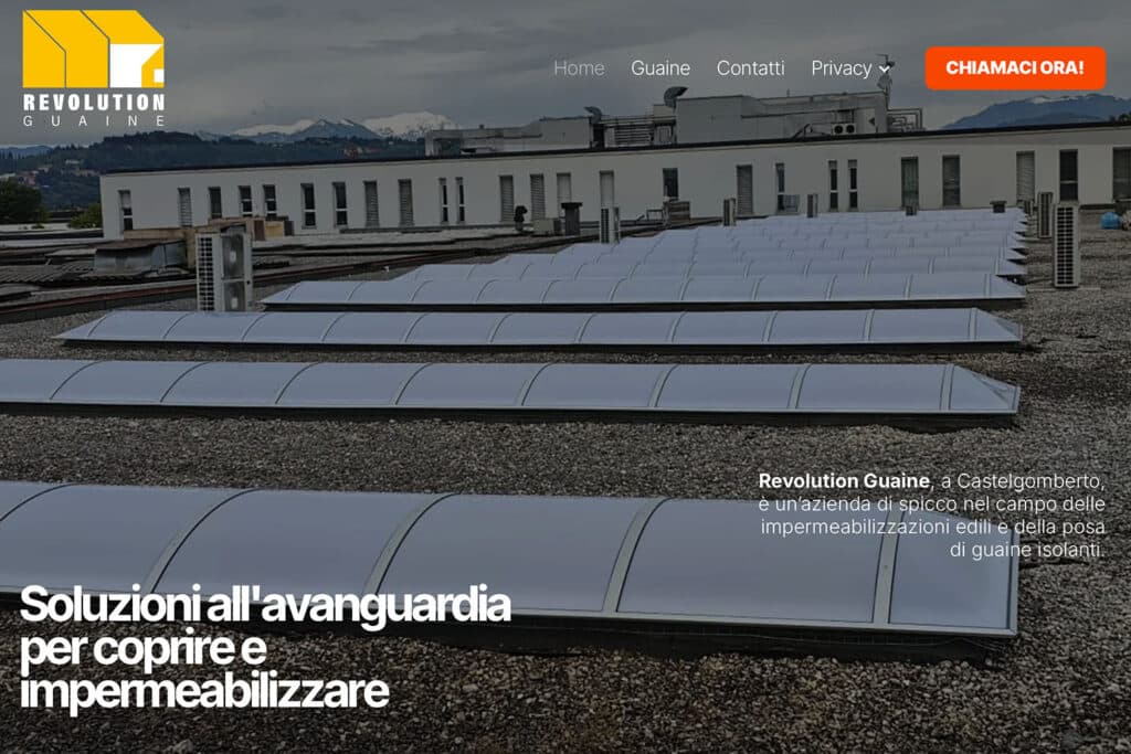 Sito Internet Revolution Guaine
