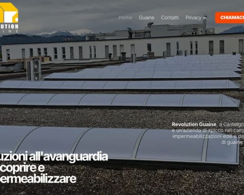 Sito Internet Revolution Guaine