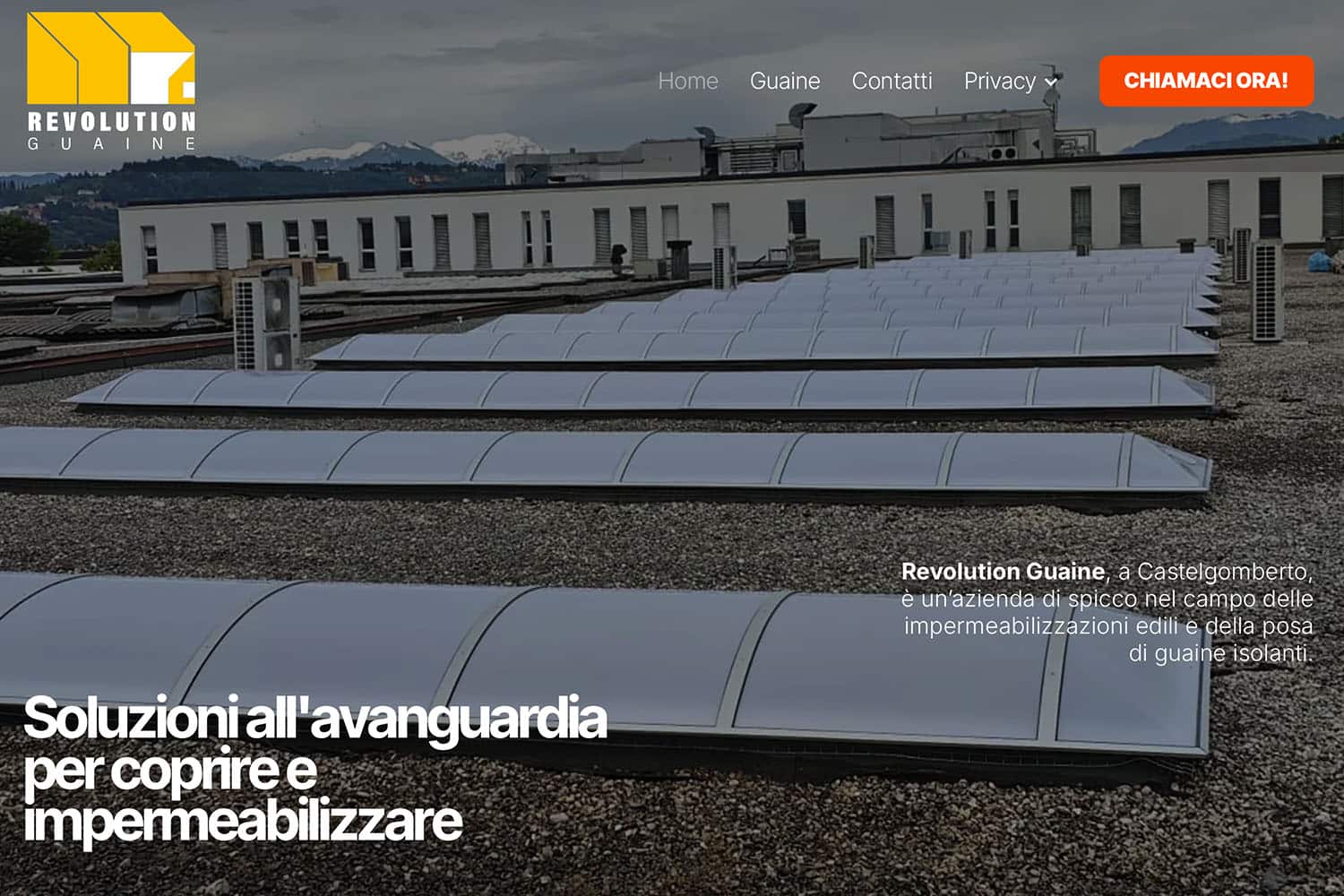 Sito Internet Revolution Guaine
